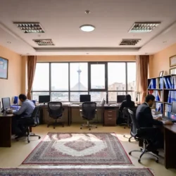 خدمات حسابرسی حرفه ای