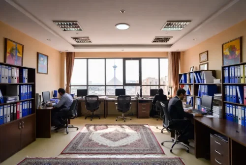 خدمات حسابرسی حرفه ای